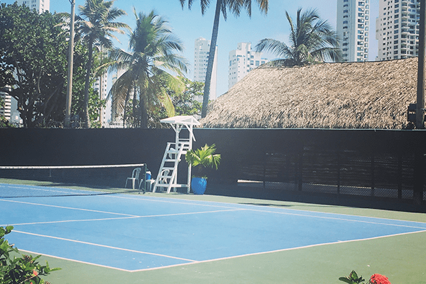 A ladder is on the tennis court near palm trees.